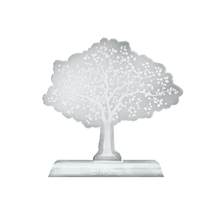 No.1 Sales Award