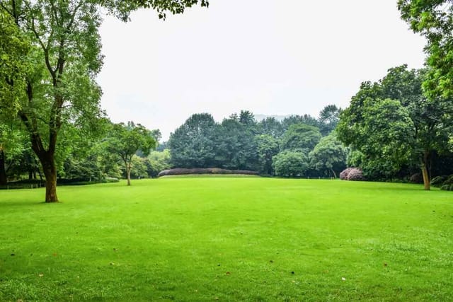 Creek Park